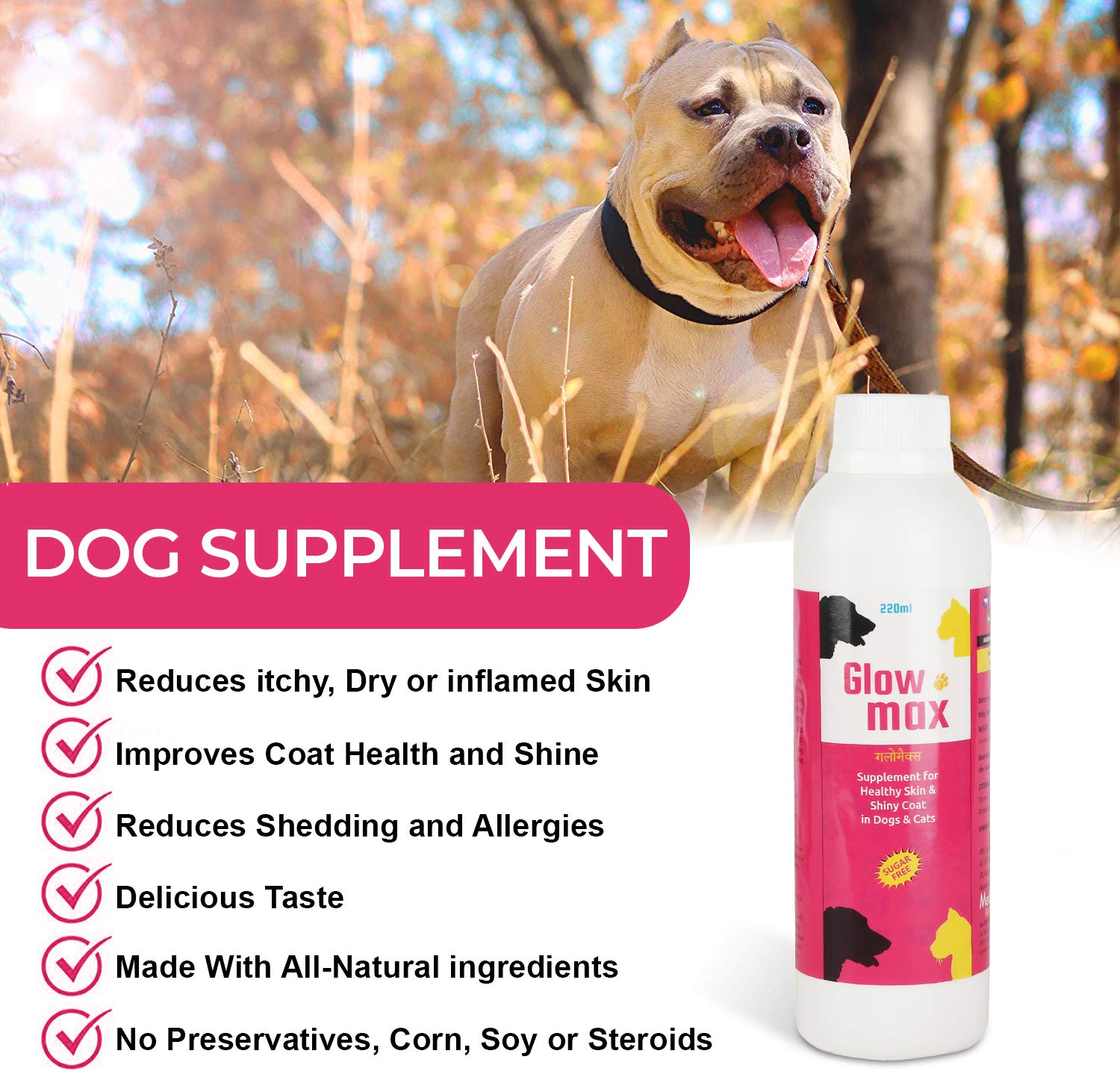 Medilogy Biotech Glowmax 220ml Dog Supplement for Healthy Shiny Skin Coat Texture - Image 3