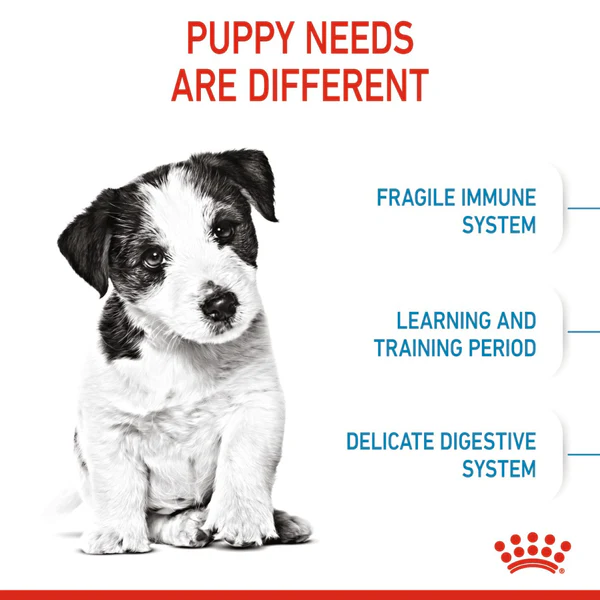 Royal Canin Mini Starter for Small Breed Dogs and Puppies Dry Food - Image 2