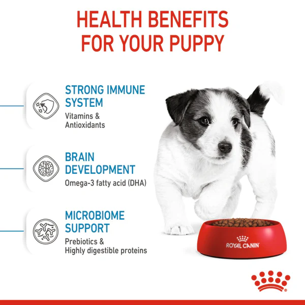 Royal Canin Mini Starter for Small Breed Dogs and Puppies Dry Food - Image 3