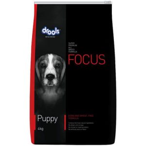 Focus Puppy